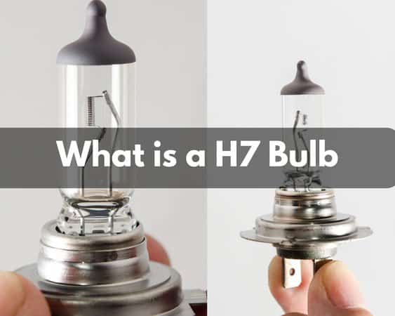 What is a H7 Bulb